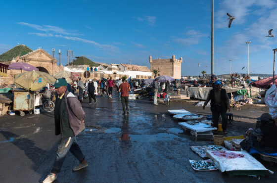 Day Trip To Essaouira Coastal City From Marrakech
