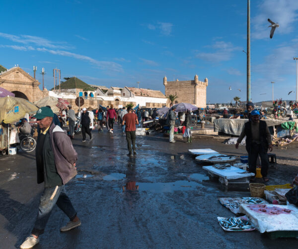 Day Trip To Essaouira Coastal City From Marrakech