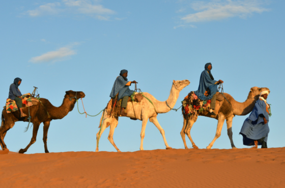 Merzouga Desert Tips: Complete Guide to Morocco’s Iconic Sahara